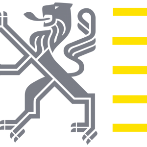 Flemish_government_emblem.svg_-600x600