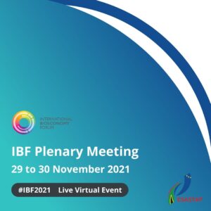 IBF Plenary Meeting